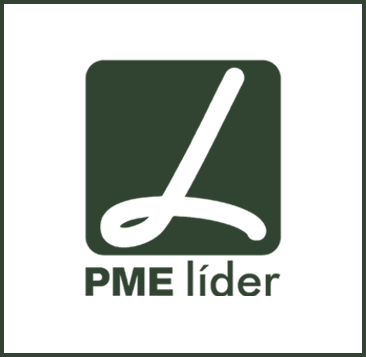 <p><em><strong>PME Leader Award 2022</strong></em></p>