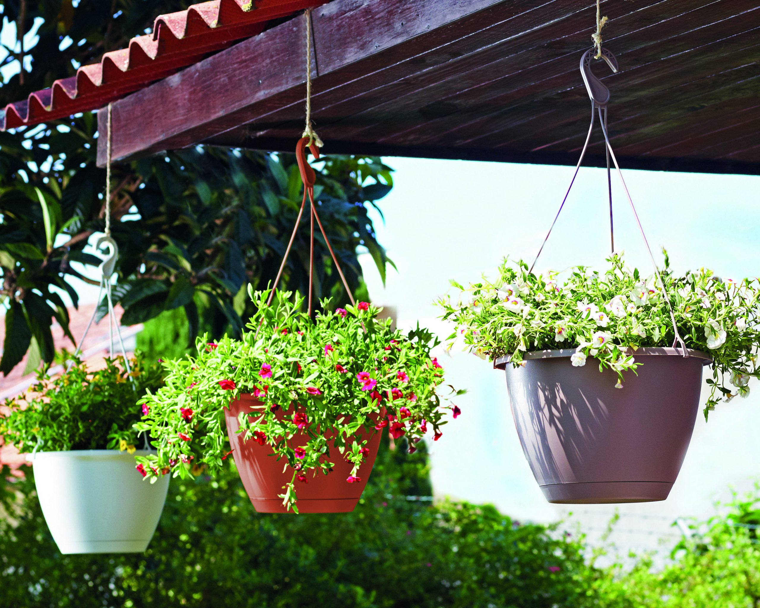 Algarve Hanging Basket