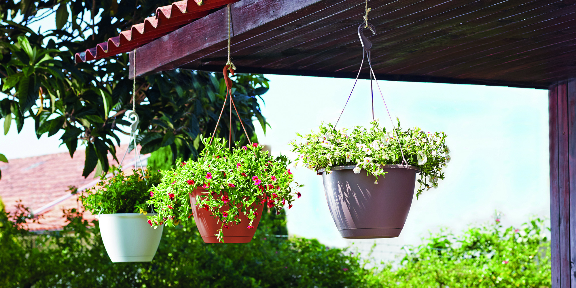 Algarve Hanging Basket