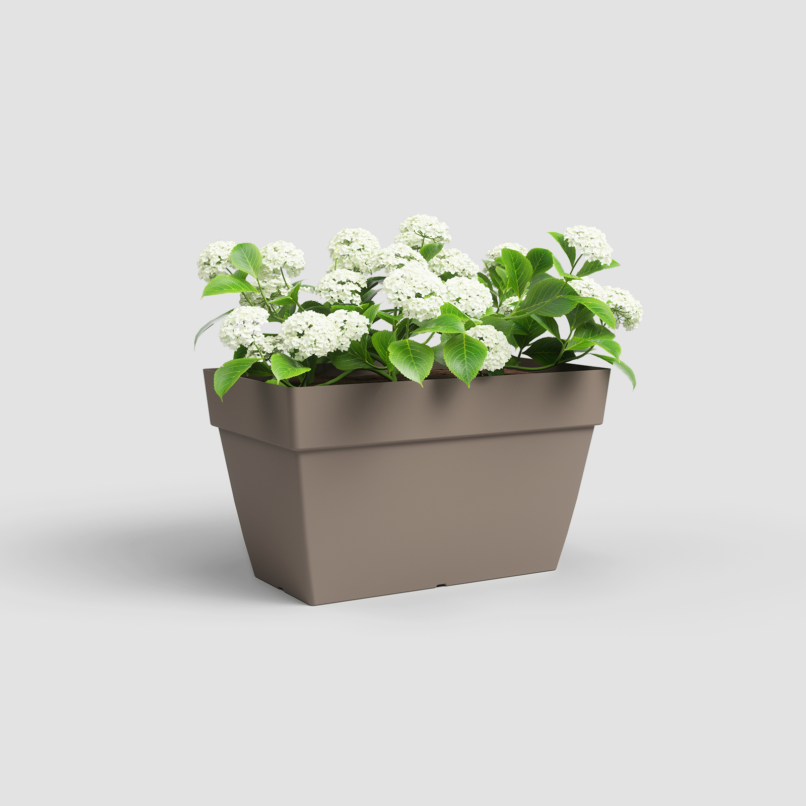 Capri XL Plant Box