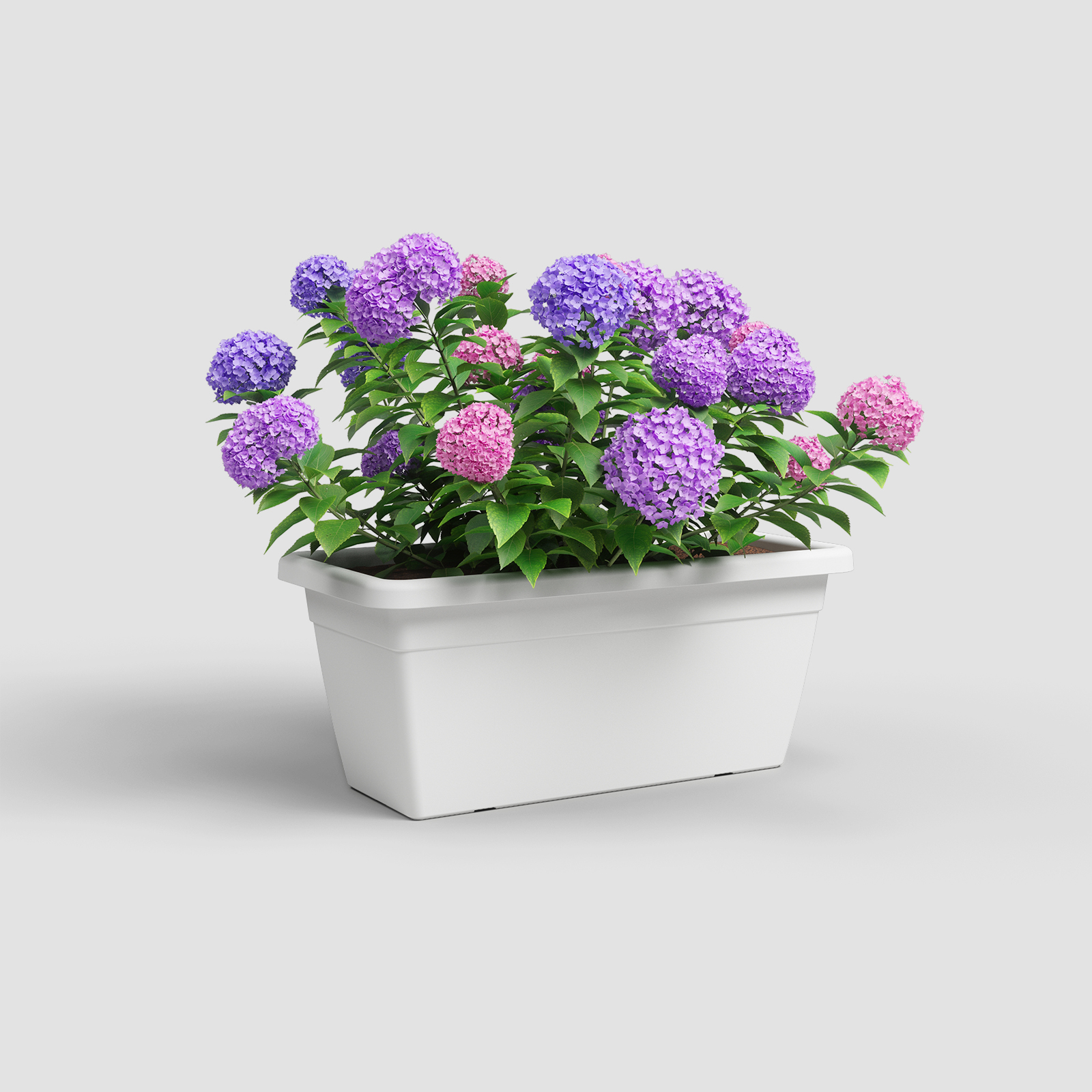 Venezia XL Plant Box