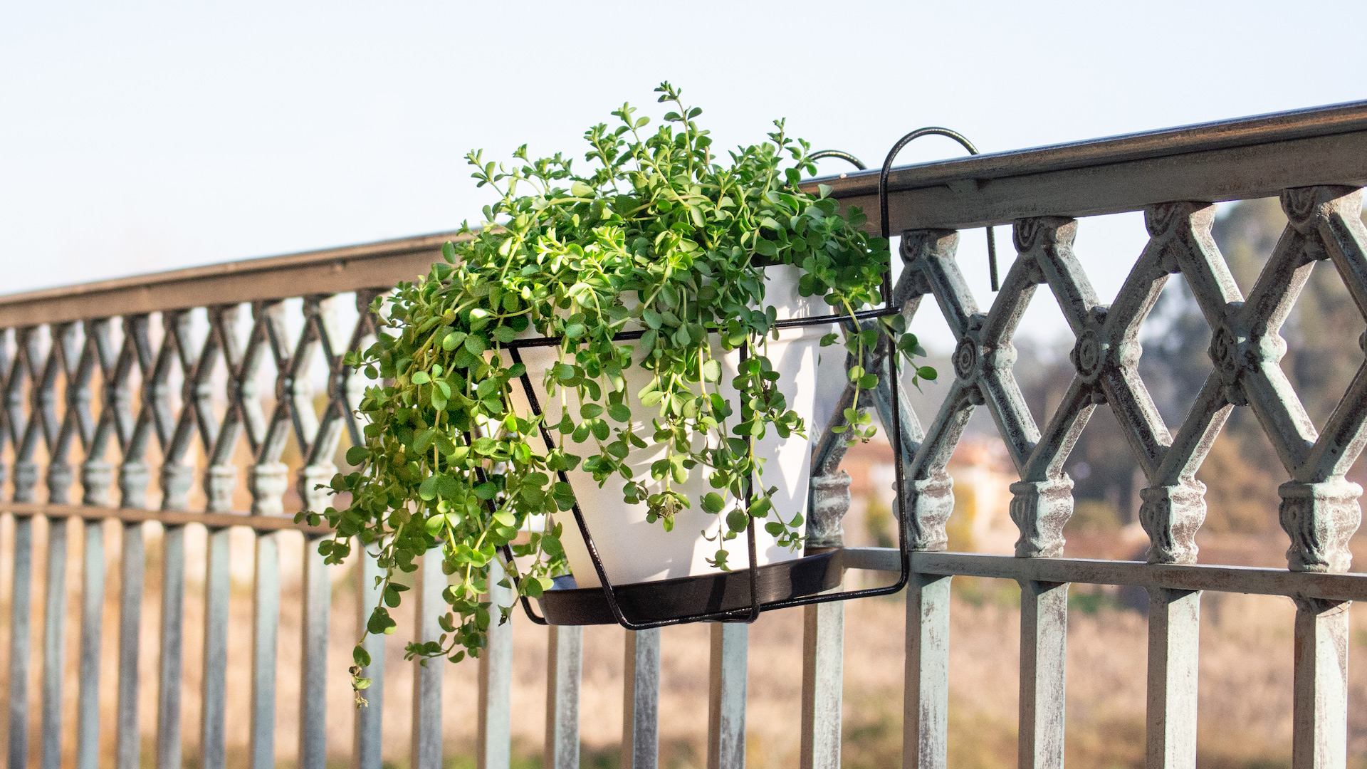 Balcony Pot Holder With Saucer