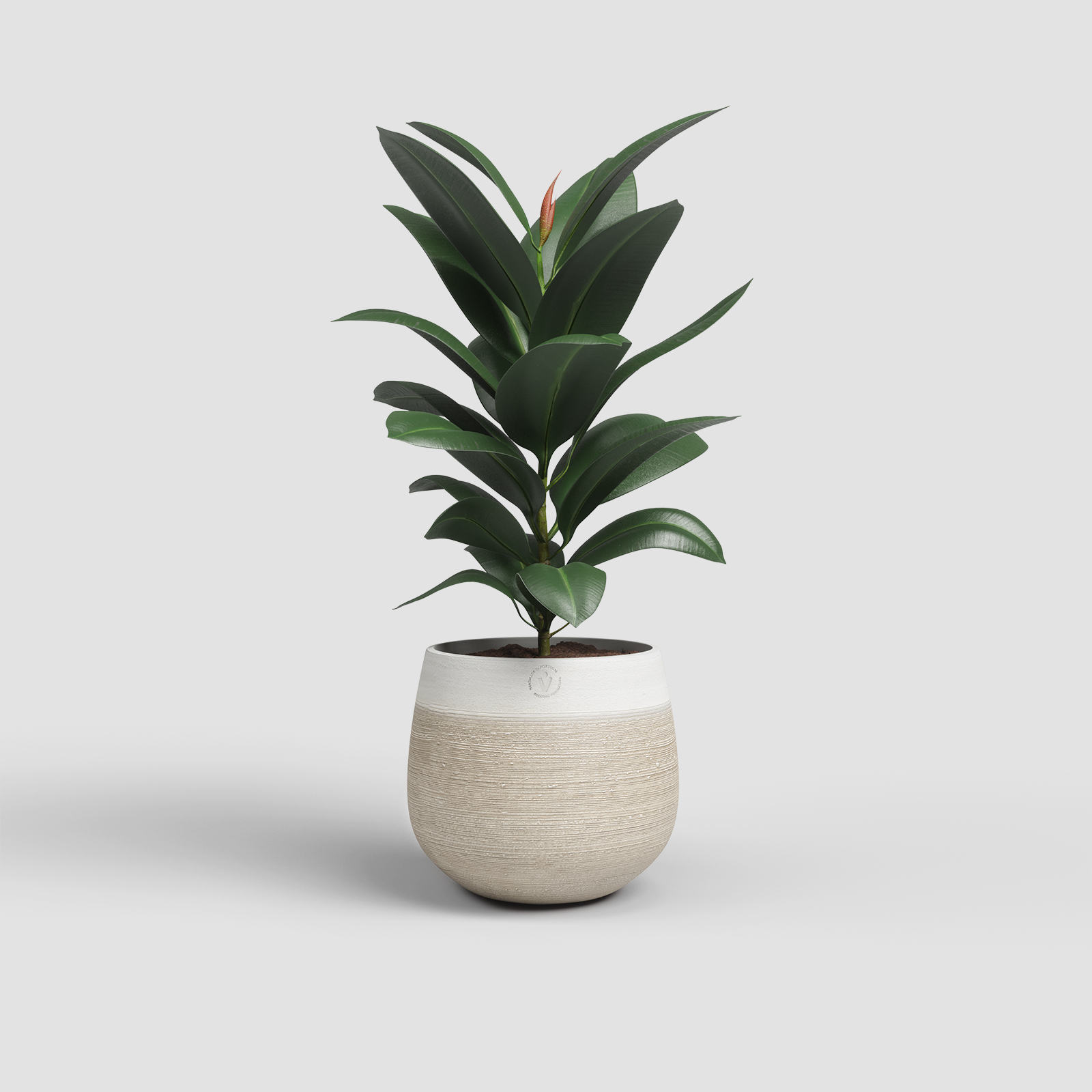 Antheia Pot